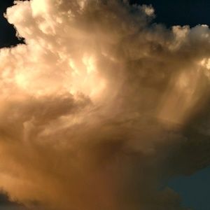 Meet your Posher, Ash